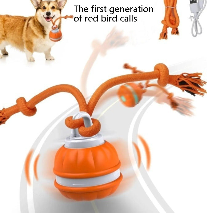Interactive Pet Rolling Ball Toy USB Rechargeable Wear for Art Thou