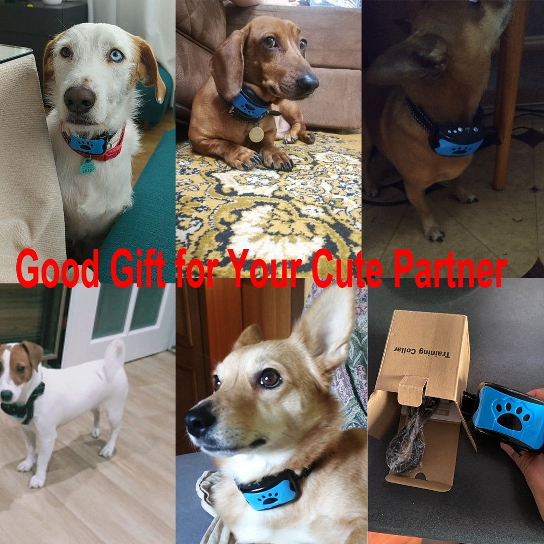 Ultrasonic Anti-Bark Dog Training Collar Wear for Art Thou