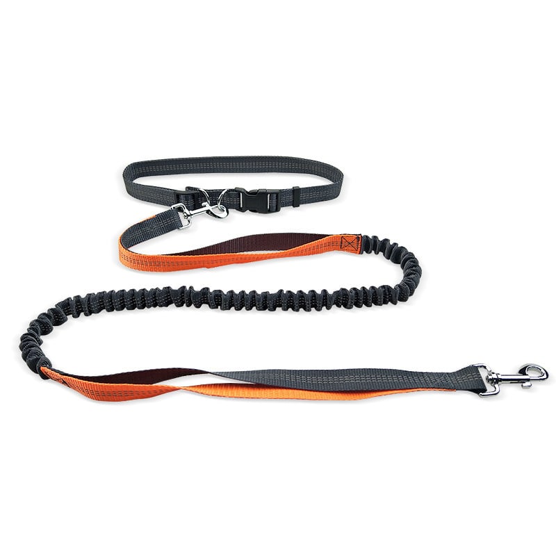 Dog Walking Belt with Detachable Shockproof Leash Wear for Art Thou