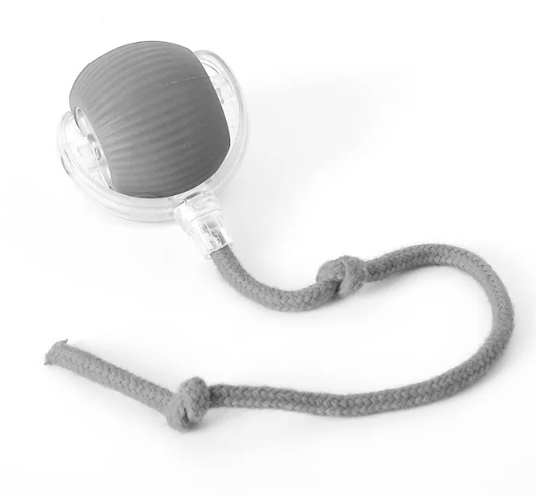 PurrPlay Self-Rolling Cat Toy Ball Wear for Art Thou