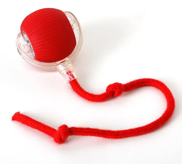 PurrPlay Self-Rolling Cat Toy Ball Wear for Art Thou
