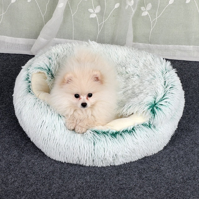 2-in1 Pet Bed Wear for Art Thou