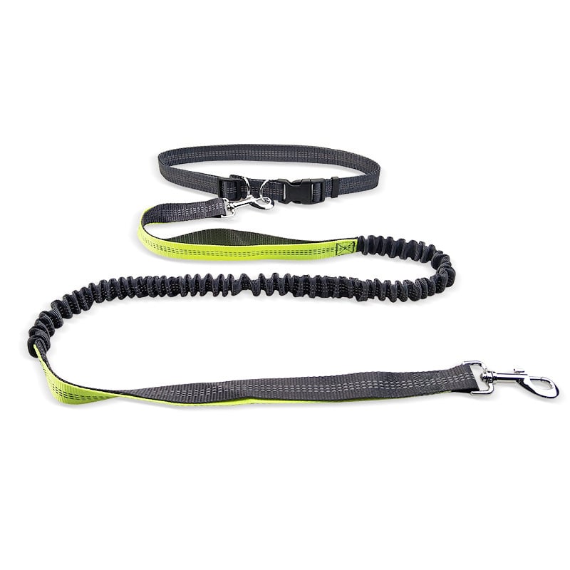 Dog Walking Belt with Detachable Shockproof Leash Wear for Art Thou