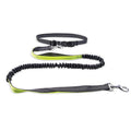 Dog Walking Belt with Detachable Shockproof Leash Wear for Art Thou