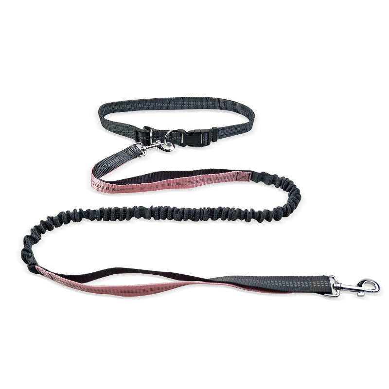 Dog Walking Belt with Detachable Shockproof Leash Wear for Art Thou