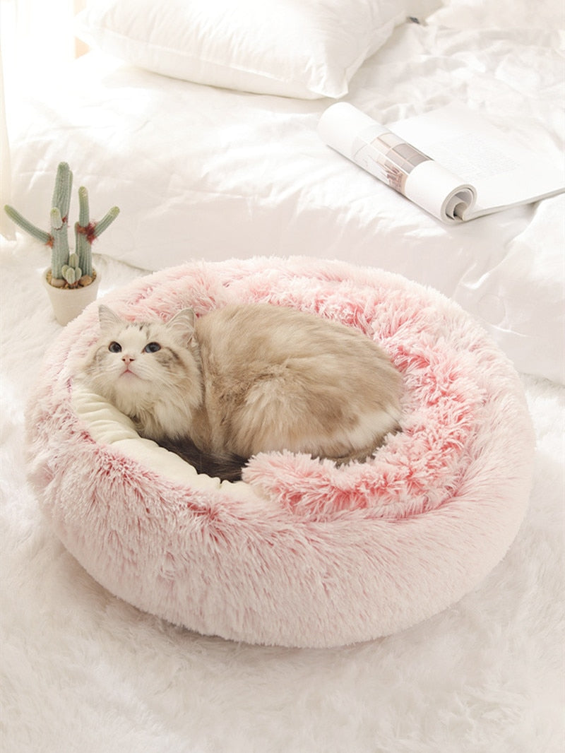 2-in1 Pet Bed Wear for Art Thou