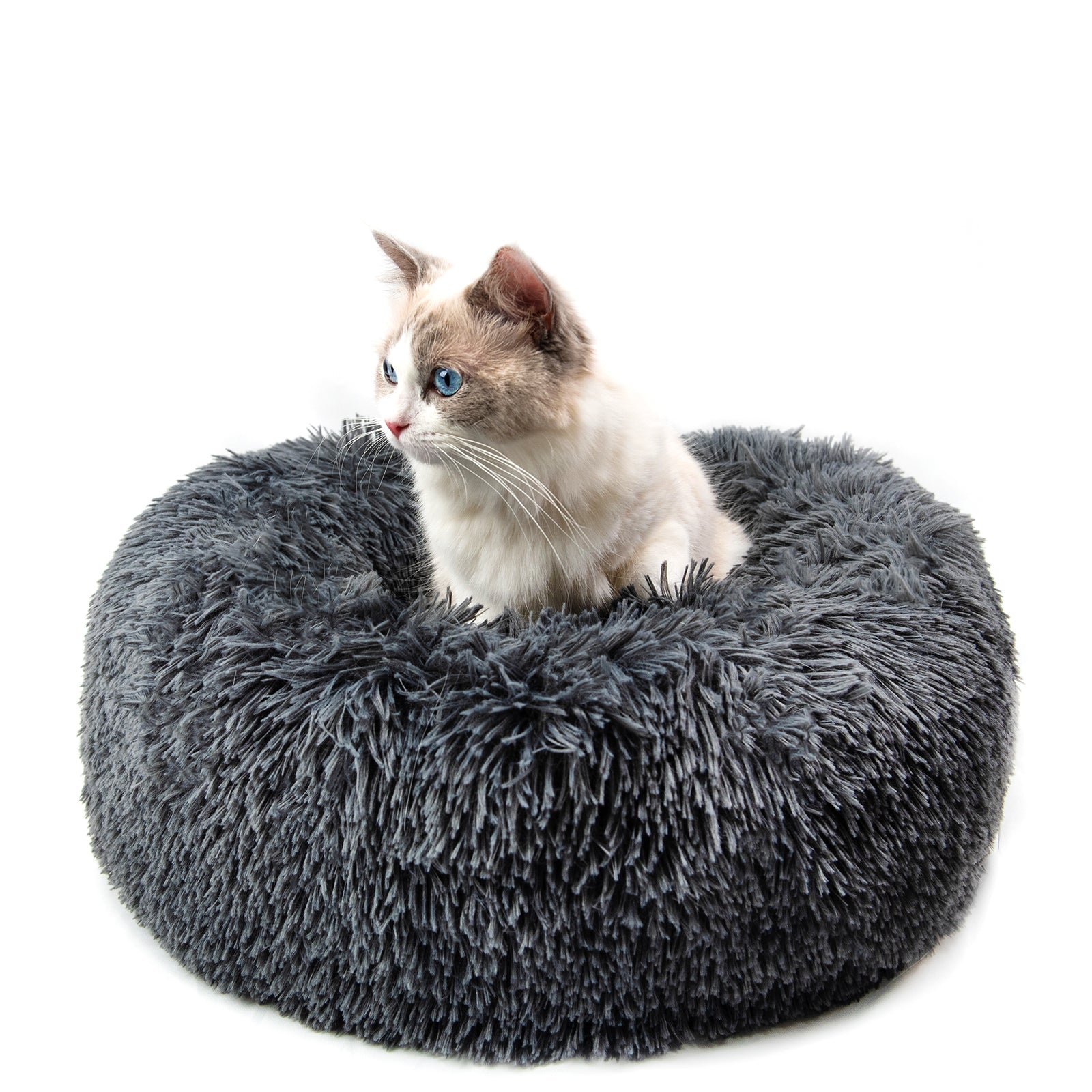 Round Plush Dog Bed for Small Dogs and Puppies Wear for Art Thou