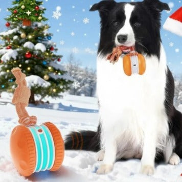 Interactive Pet Rolling Ball Toy USB Rechargeable Wear for Art Thou