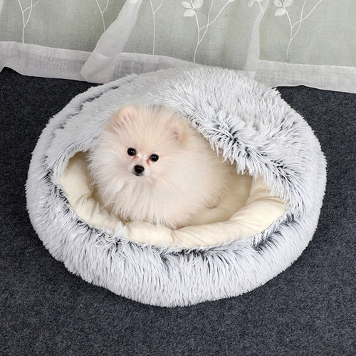 2-in1 Pet Bed Wear for Art Thou