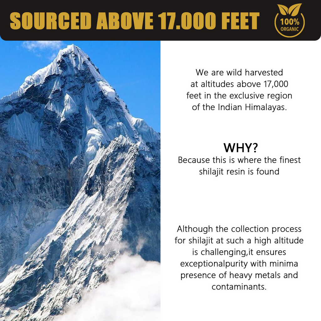 30g Natural Pure Shilajit Resin Wear for Art Thou