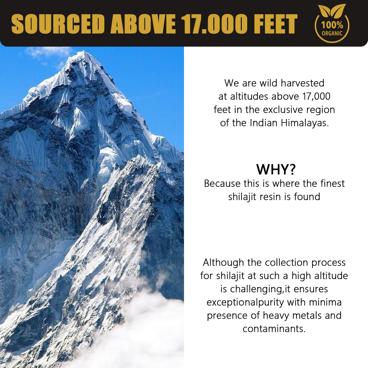 30g Natural Pure Shilajit Resin Wear for Art Thou