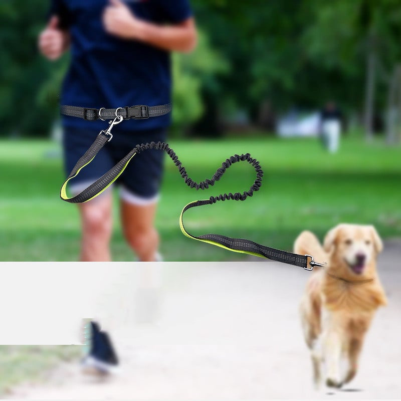 Dog Walking Belt with Detachable Shockproof Leash Wear for Art Thou