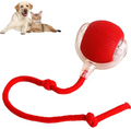 Smart Rolling Pet Ball Wear for Art Thou