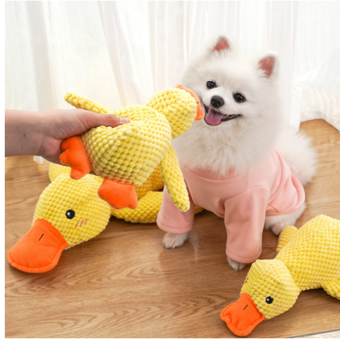 Calming Duck Toy Wear for Art Thou