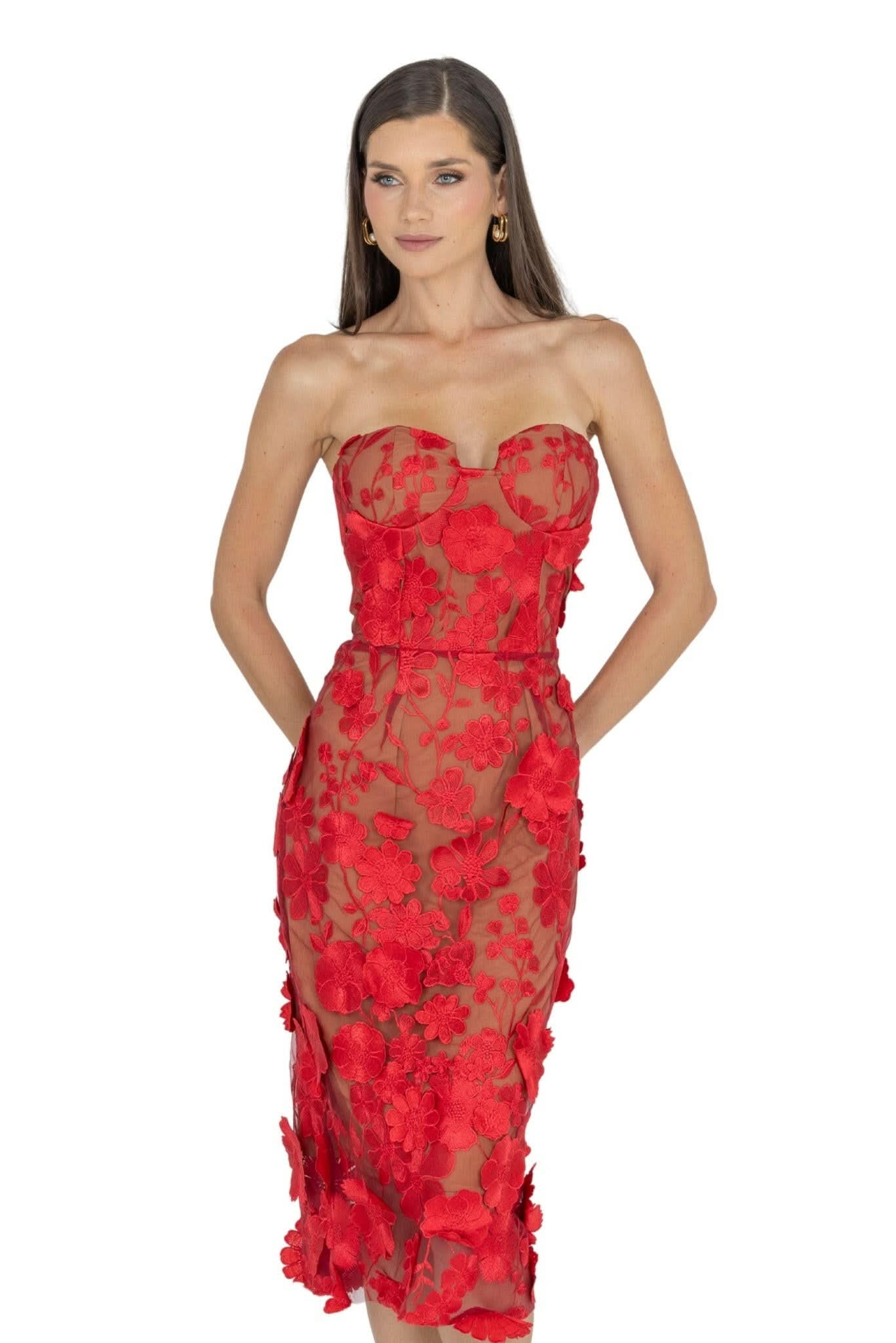 Anni Floral Embroidered Strapless Midi Dress Akalia