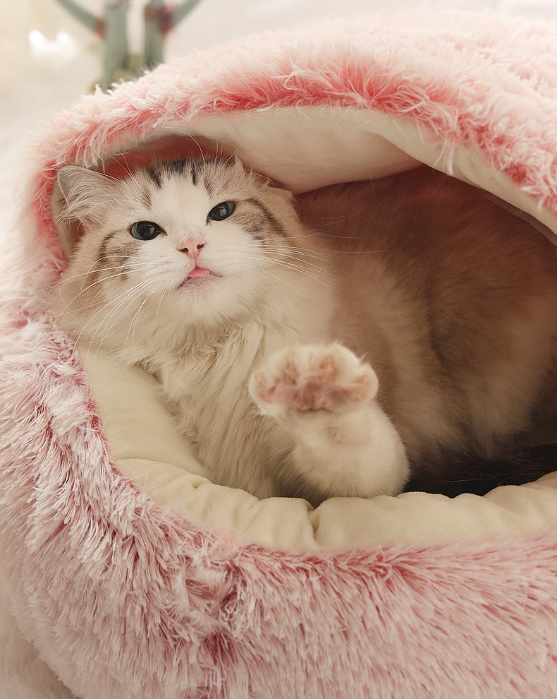 2-in1 Pet Bed Wear for Art Thou