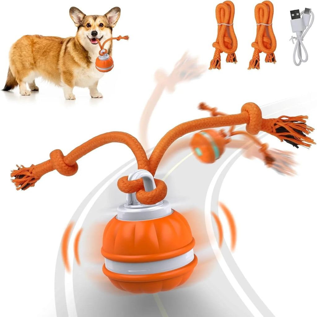 Interactive Pet Rolling Ball Toy USB Rechargeable Wear for Art Thou