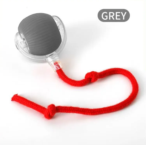 PurrPlay Self-Rolling Cat Toy Ball Wear for Art Thou