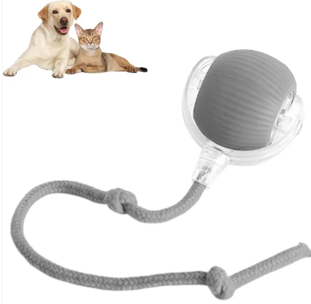 Smart Rolling Pet Ball Wear for Art Thou