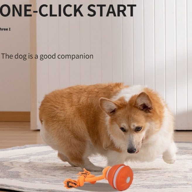 Interactive Pet Rolling Ball Toy USB Rechargeable Wear for Art Thou