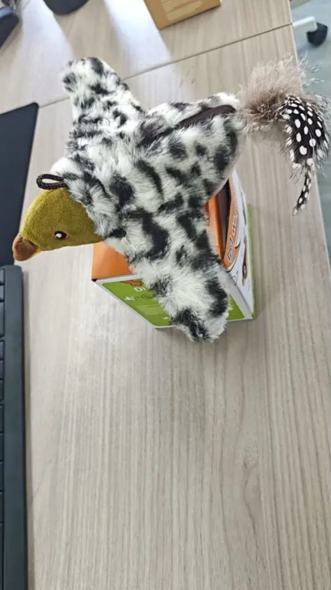 Plush Bird Pet Toy Wear for Art Thou