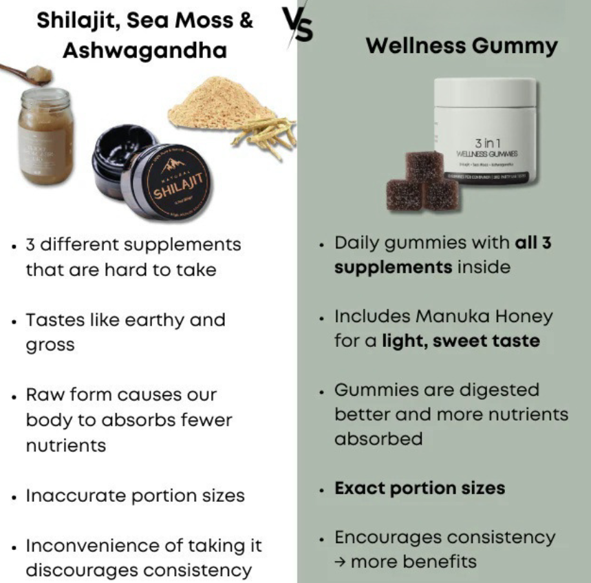 Shilajit 3-in-1 Gummies for Men Wear for Art Thou