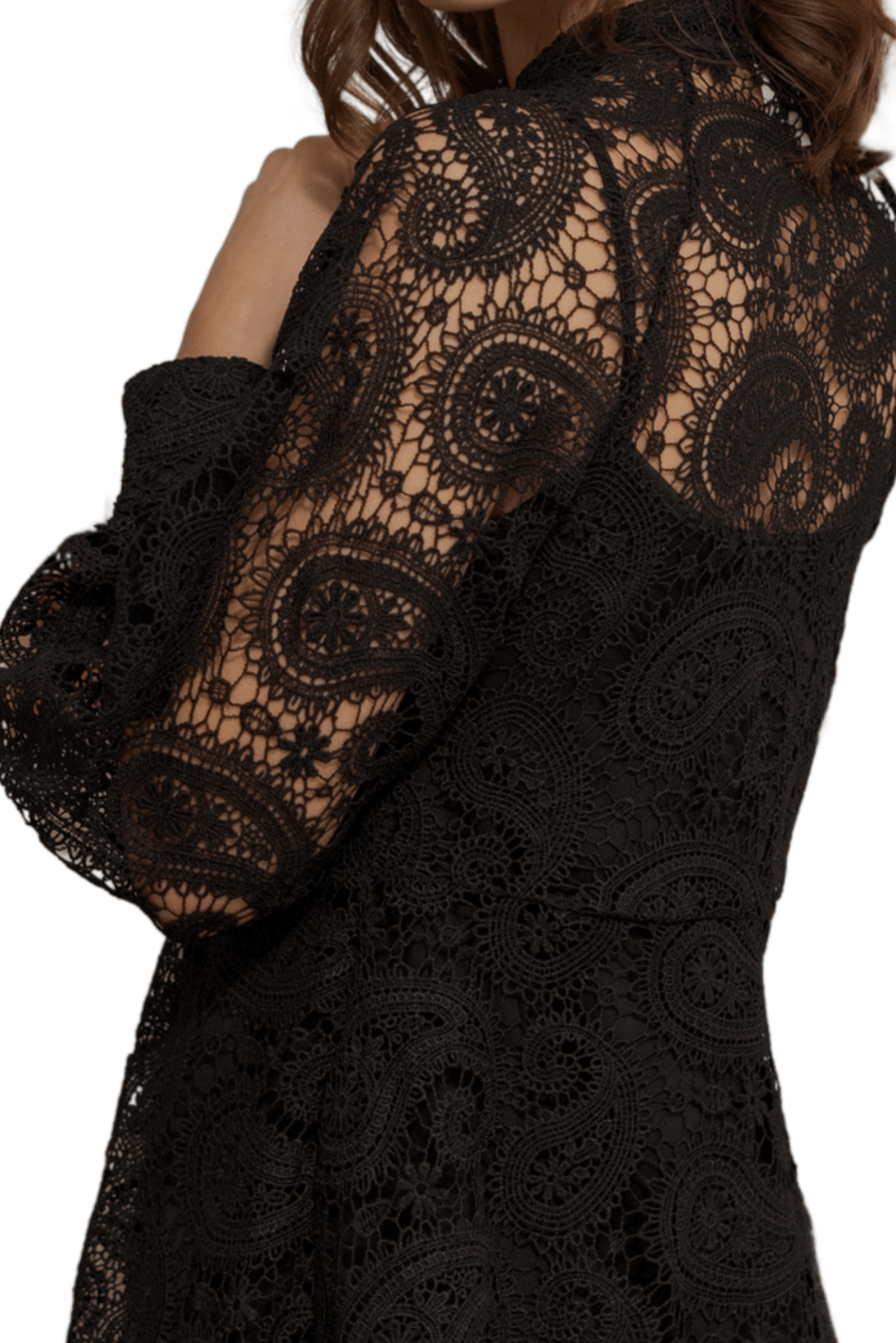 Liane Long Sleeve Mini Lace Dress (Black) Akalia